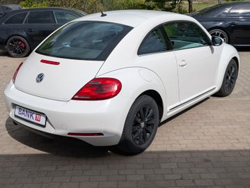 Volkswagen Beetle - 6