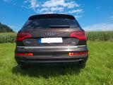 Audi Q7 3.0 TDI (DPF) quattro tiptronic - - Audi Q7 aus 2010: TDI