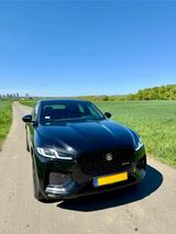 Jaguar F-Pace P250 R-DYNAMIC BLACK AWD R-DYNAMIC BLACK - Jaguar F-Pace von privat