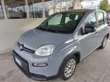 Fiat FIAT Panda 1.0 FireFly S&S Hybrid Uniprò km 7700 - Fiat Panda: Km H