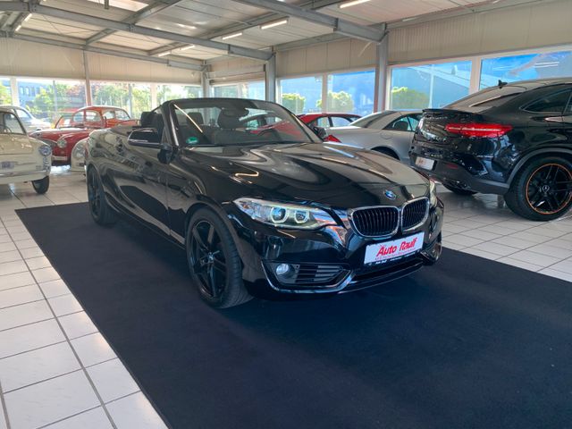 BMW 218i Cabrio *AUTOMATIK*LEDER*XENON*NAVI*M-LKR*