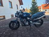 Honda Hornet 900 - HONDA HORNET 900
