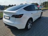 Tesla Model Y RWD wenig Km - Tesla Model Y in Köln