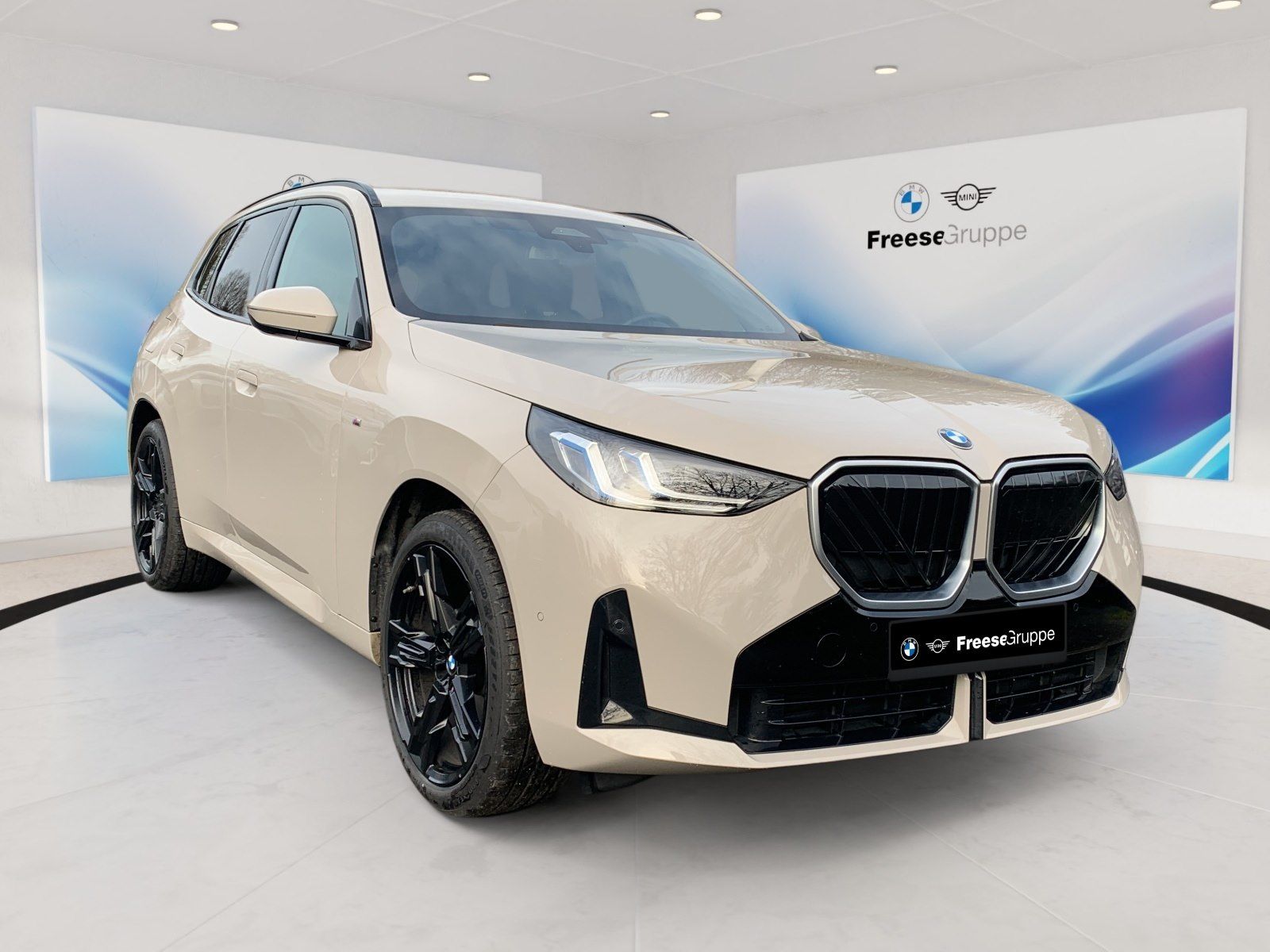 BMW X3 - Bild 8