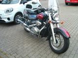 Suzuki VL800 Intruder/Volusia - SUZUKI VL 800 VOLUSIA