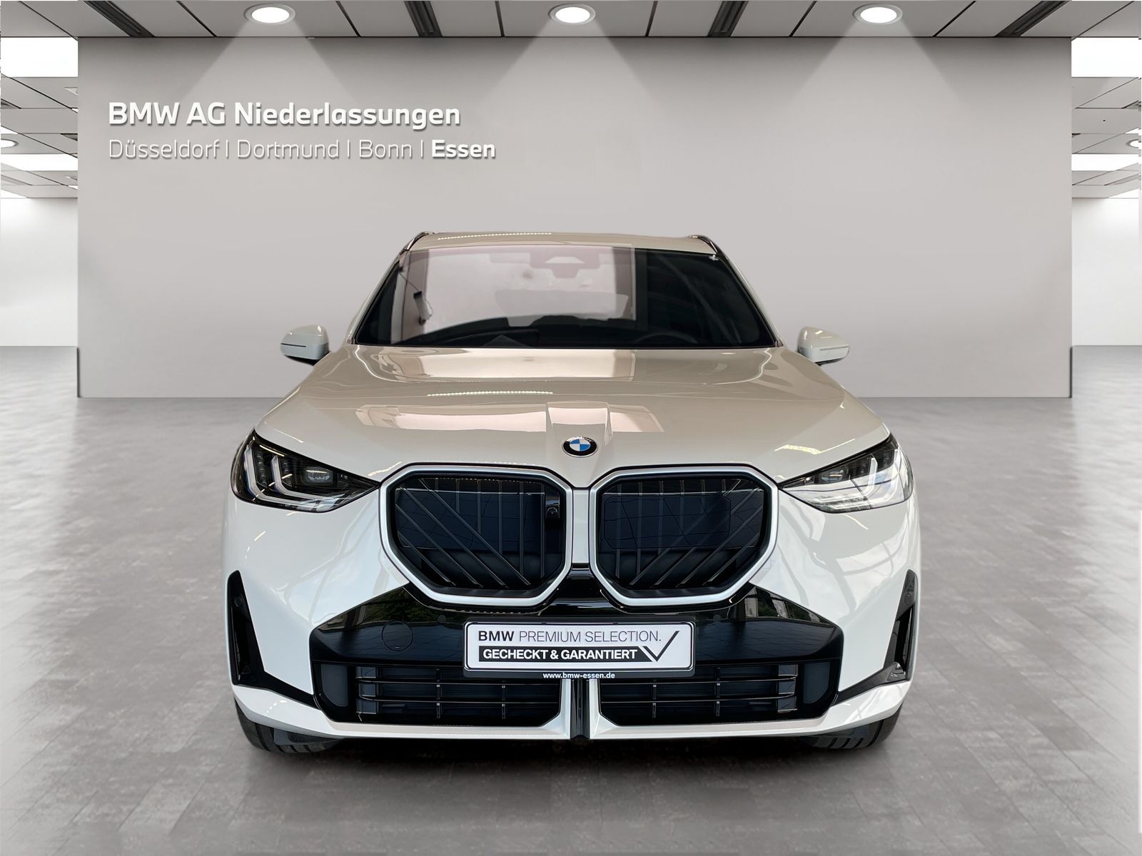 BMW X3 - Bild 8