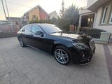 Mercedes-Benz S 450 L - - Mercedes-Benz S 450: Limousine