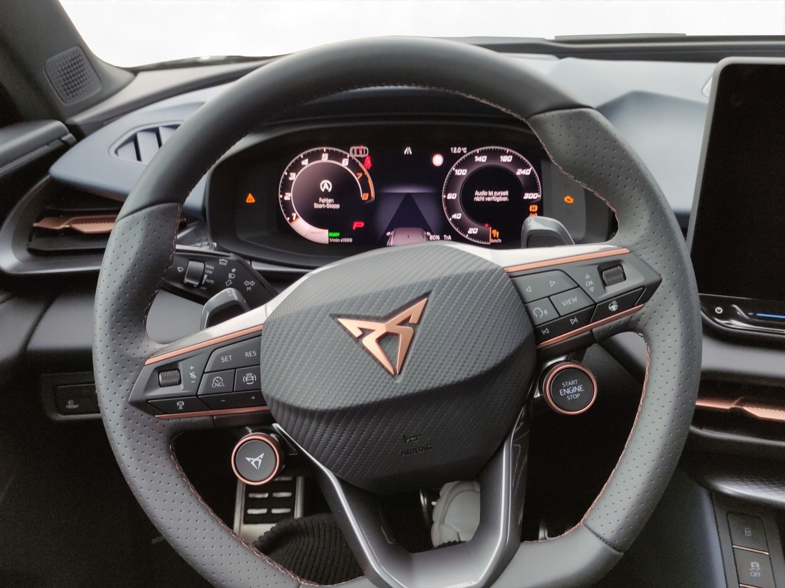 Cupra Terramar - Bild 12