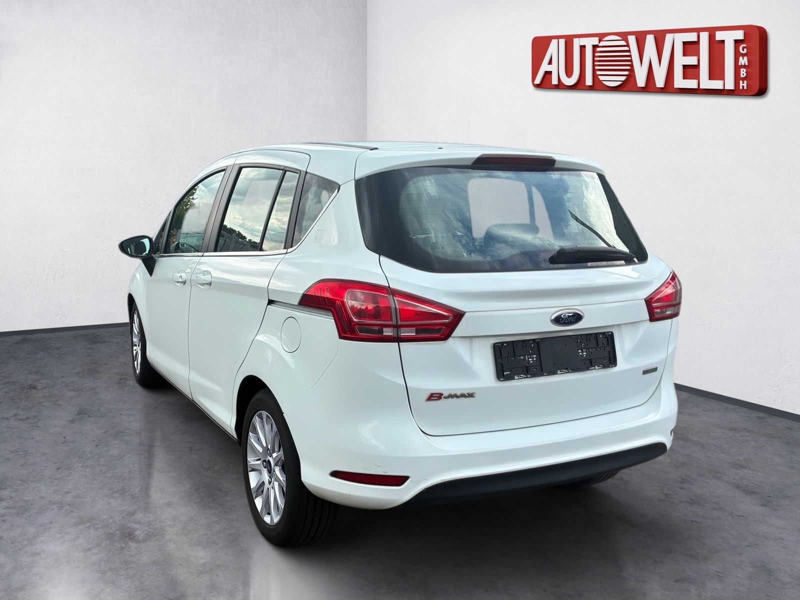 Fahrzeugabbildung Ford B-MAX 1.0 EcoBoost Titanium SHZ,Keyless,LM,FLA