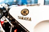 Yamaha TZ 500 komplett Überholt - YAMAHA RENNSPORT