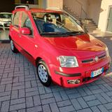 Fiat 141388 KM PANDA 1.2 BEN CONSERVATA NEOPATENTATI - Fiat Panda 141