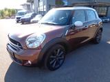 MINI Countryman Cooper SD,Leder,Navi,Pano,53Tkm - MINI MINI mit Diesel-Antrieb: Braun, Leder