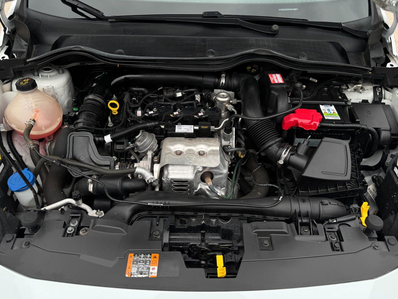 Fahrzeugabbildung Ford Fiesta 1.0 EB Active 140ps Kam Navi Temp SHZ LKA