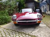 Jaguar E-Type Coupe Serie 2 unrest.  mit Patina LHD - Jaguar E-Type aus 1970