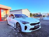 Kia Stinger GT 4WD NoOPF SnowWhite BI-LED MwSt - gebrauchte Kia Stinger aus dem Jahr 2019