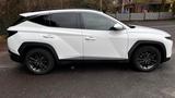 Hyundai TUCSON 1.6 T-GDI Edition 30+  - Hyundai TUCSON von privat