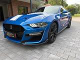 Ford Mustang 5.0-V8 GT 500 SHELBY KIT/CARBON/SHZ/NAVI - Ford Mustang: Coupe, Shelby Gt500