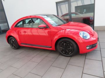 Volkswagen Beetle - 3