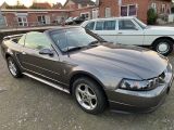 Ford Mustang V6 KLIMA TÜV NEU LEDER AUTOMATIK - Ford Mustang: Cabrio, V6
