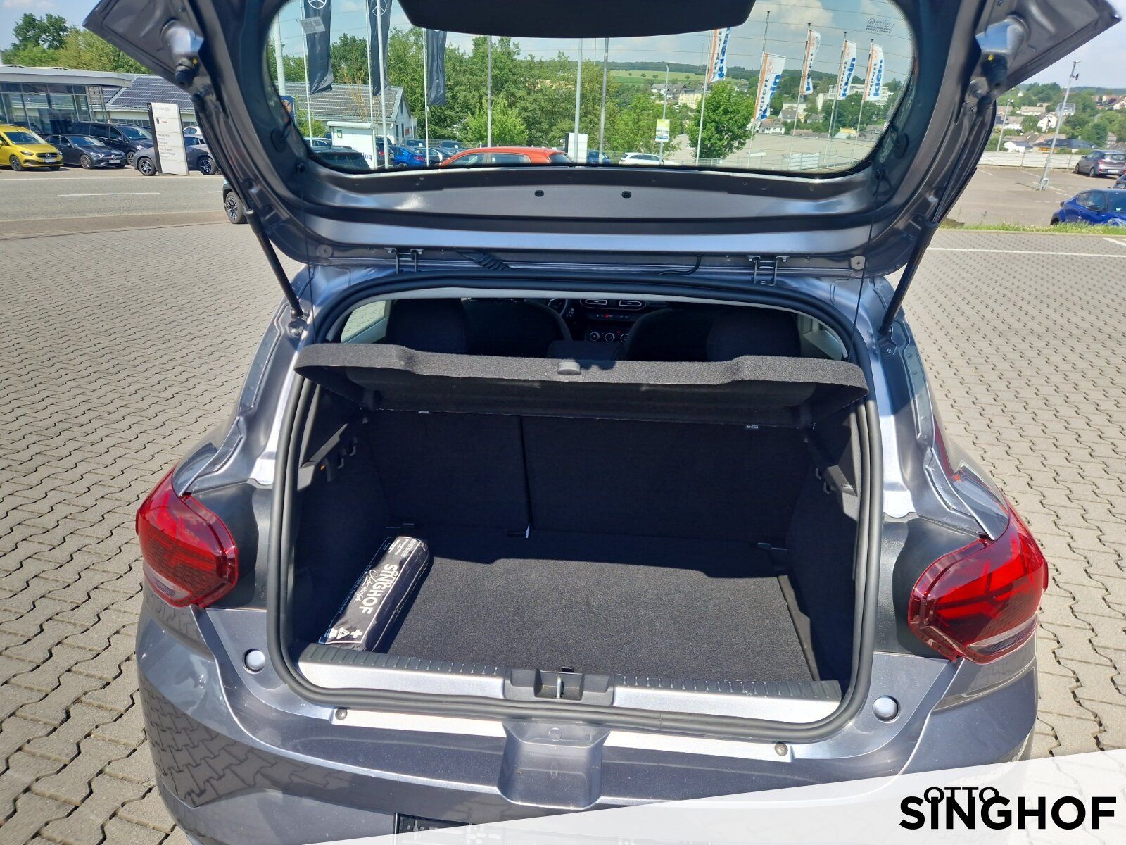 Fahrzeugabbildung Dacia Sandero Journey Eco-G 100