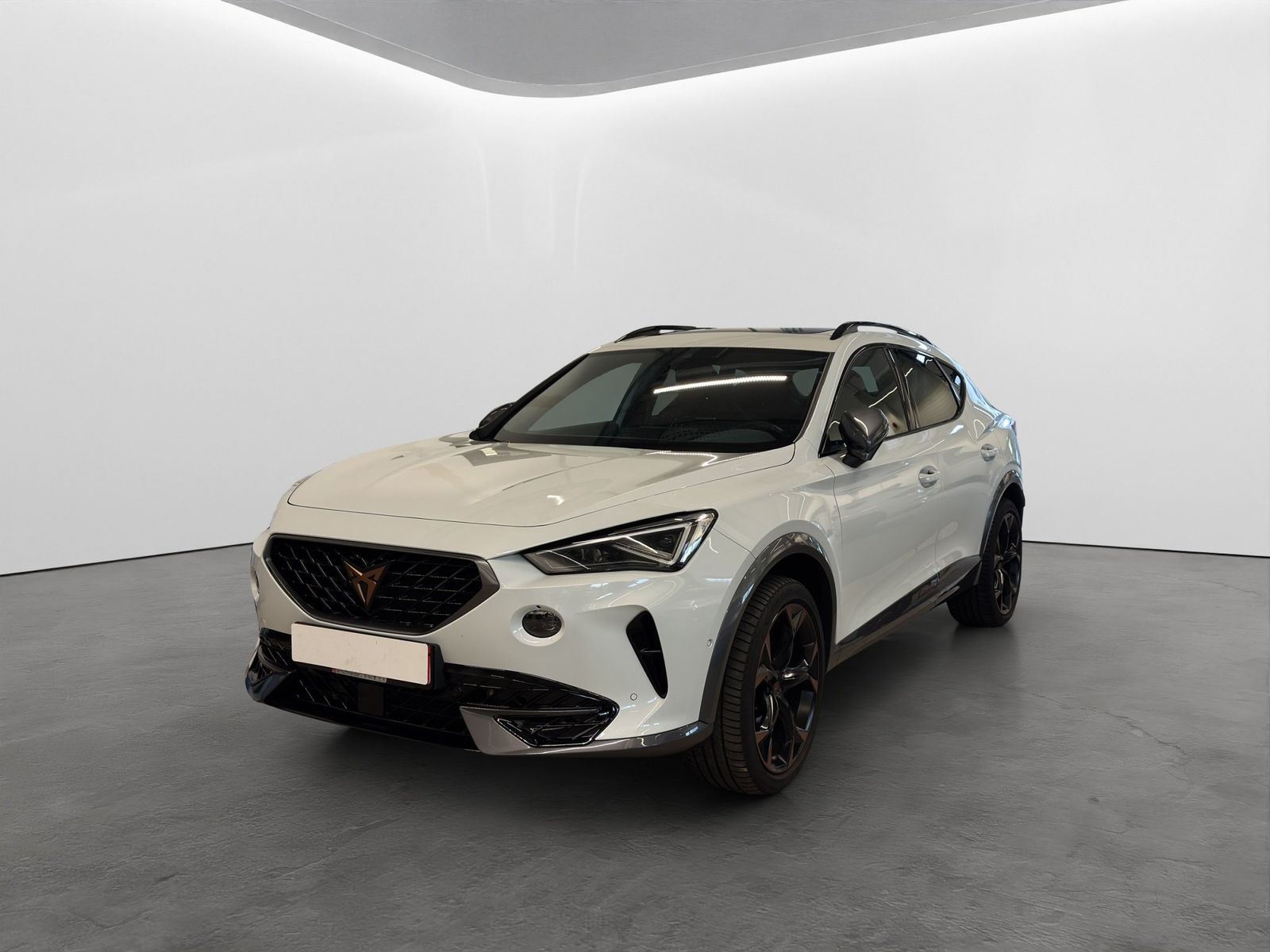 Cupra Formentor 2.0 TSI DSG 4Drive VZ MATRIX-LED+LEDER imagem 2