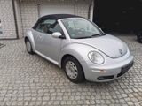 Volkswagen New Beetle Cabriolet 1.6 Schmuckstück von Mutti - Volkswagen New Beetle aus 2007