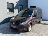 Volkswagen Caddy Maxi TDI Roncalli Automatik/Camping Umbau - : Van, Camping