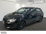 Skoda Fabia Active 1.0 Klima FSE DAB eFH ZV - Skoda Fabia in Bochum