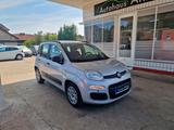 Fiat Panda My Panda Klima SHZG MFL PDC - Fiat Panda Gebrauchtwagen in Braunschweig