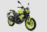 Benelli BN 125 Naked B196/A1 Finanzierung mögl. Am Lager - BENELLI BN 125