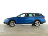 Skoda Octavia Combi 2.0 TDI Scout AHK|HUD|Standhzg|ACC - Skoda: Combi Scout