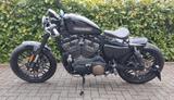 Harley-Davidson SPORTSTER /ROADSTER XL1200CX / keine Forty Eight - HARLEY-DAVIDSON ROADSTER