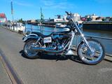 Harley-Davidson Dyna FXDSE, FXDC, FXD - HARLEY-DAVIDSON FXDC