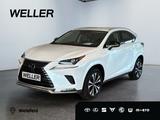 Lexus NX 300h Style Edition *Bi-LED*ACC*CAM*SHZ*CarPla - Lexus aus 2021