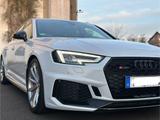 Audi RS4 B9 8W 2.9 TFSI QUATTRO VIRTUAL AH... - Audi quattro in Köln