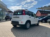 Fiat Panda Neues Modell 1.0 *5 Sitzer Klima PDC DAB* - Fiat Panda: Sitzer