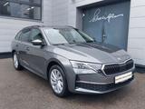 Skoda Octavia 2.0 TDI  DSG Selection AHK+KAM+ACC+17" - Skoda Octavia Tageszulassungen mit Diesel-Antrieb: Kombi
