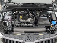Skoda Kamiq - Vorschau Bild 13