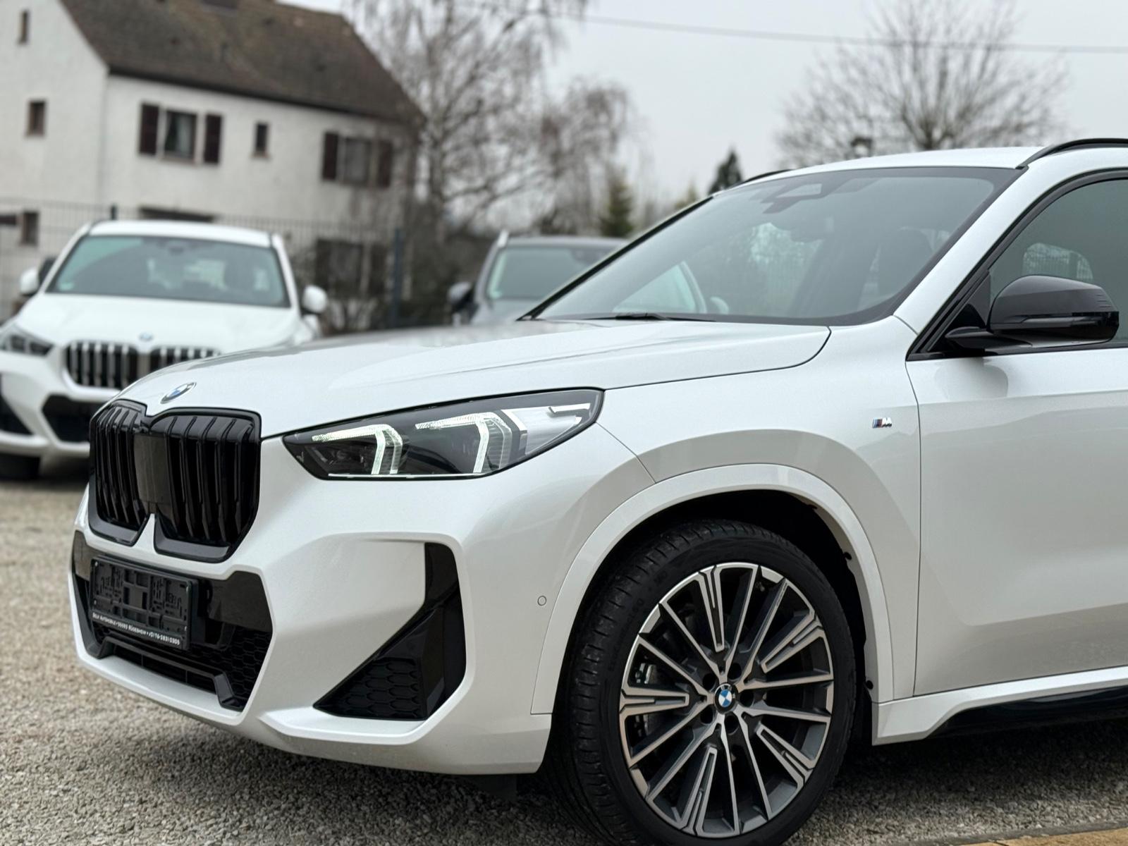 BMW X1 23d xDrive M Sport AHK h/k Memory 20 Zoll ACC
