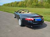 Jaguar XK 4.2L V8 Cabriolet - - schwarze Jaguar XK