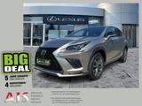 Lexus NX 300h F Sport Pano*HUD*Navi*4xSHZ*BearLock - Lexus Gebrauchtwagen in Dresden