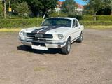 Ford Mustang 289 Coupé (1965) 