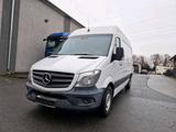 Mercedes-Benz Mercedes Sprinter 313 2.2 CDI L2H2 LKW KAS... - Mercedes-Benz Sprinter: Lkw