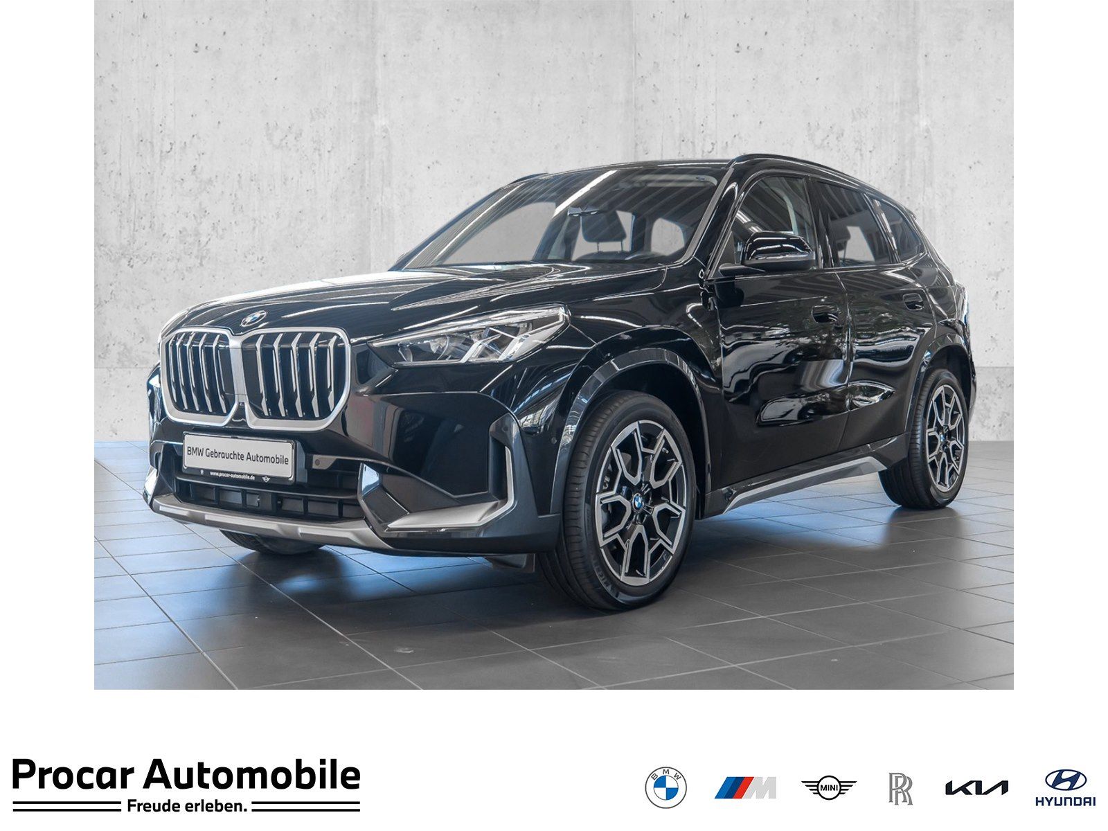 BMW X1 sDrive18d xLine RFK NAVI LED Sound Syst. LM