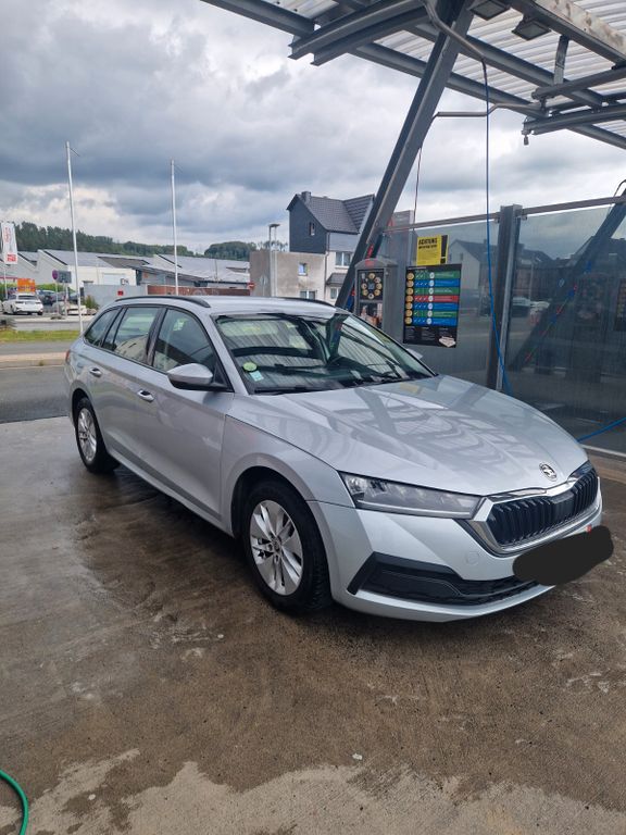 Image of Skoda Octavia