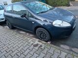 Fiat Punto - Fiat Punto in Frankfurt (Main)