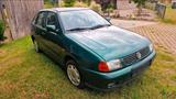 Volkswagen VW Polo Classic - Volkswagen Polo: Classic