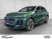 Audi SQ5 - Vorschau Bild 1
