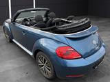 Volkswagen Beetle Cabriolet Allstar BMT/Kamera/Navi/Sitzhzg - gebrauchte VW Beetle aus dem Jahr 2016