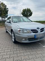 Nissan Auto Nissan Almera - Nissan Qashqai: Kombi